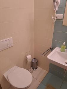 een badkamer met een wit toilet en een wastafel bij Dobrá škola u Jeníčka in Vojkovice