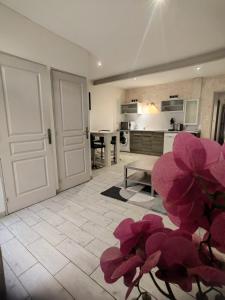 uma sala de estar com uma cozinha e uma sala grande em Appartement À Valence em Valence