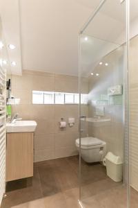a bathroom with a toilet and a sink and a shower at Hotel Haus Arenberg in Salzburg +39 photos