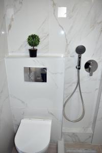 a white bathroom with a toilet and a shower at Fotini's Studios 1 in Toroni