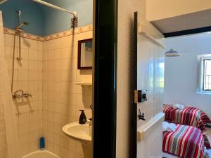 a bathroom with a shower and a sink and a toilet at Qta Casa Seleiras - Guest House in Évora