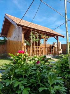 ogród z drewnianym domem w tle w obiekcie Casa Maru w mieście Jurilovca