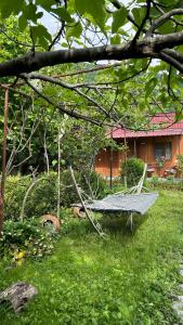 una hamaca sentada en el césped en un patio en Ludwig Guesthouse, en Lagodeji