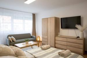 a living room with a tv and a couch and a couch at DELUXHOME Sárospatak in Sárospatak