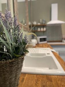 a kitchen sink with a potted plant on a counter at Penarwyn House in Par