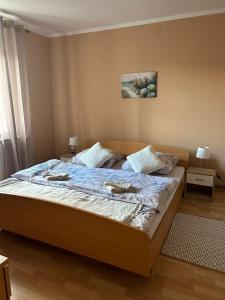 een slaapkamer met een groot bed met 2 kussens bij DOMUS NOSTRA in Lovinac