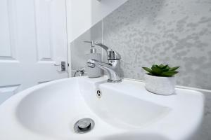 um lavatório de casa de banho com uma torneira e uma planta sobre ele em Studio Apartment - London em Londres