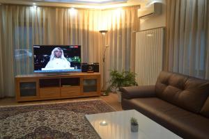 Villa Amela في إيليجا: غرفة معيشة مع أريكة وتلفزيون بشاشة مسطحة