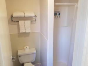 a bathroom with a toilet and a shower with towels at 075B Affordable Retreat nr South Rim Sleeps 2 in Valle