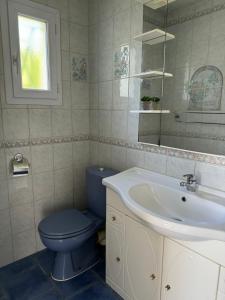 La salle de bains est pourvue de toilettes bleues et d'un lavabo. dans l'établissement Jolie maison avec jardin proche bordeaux et océan, à La Brède