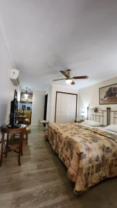 a bedroom with a large bed and a ceiling fan at AGUAMARINA SPA Y APART in Formosa +21 photos