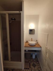 La salle de bains est pourvue d'un lavabo et d'une douche. dans l'établissement La Tourterelle By Nid'Ouest, à Rennes