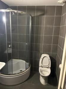 La petite salle de bains est pourvue d'une douche et de toilettes. dans l'établissement Davids Hotell, à Alvesta