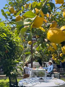 two people sitting at tables under a lemon tree at Boutique Hotel Casa Mariantonia in Anacapri