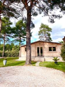 ein Haus mit einem Baum davor in der Unterkunft Chalet au calme avec piscine et grand jardin in Plan dʼAups