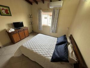 a bedroom with a bed and a television in it at Habitaciones a minutos del centro de Asunción con quincho y piscina in Asuncion