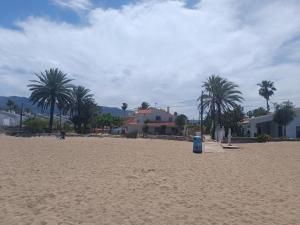 einen Strand mit Palmen und einem blauen Mülleimer darauf in der Unterkunft Paraiso Del Sol in Denia