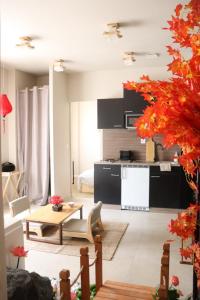 Kuchyň nebo kuchyňský kout v ubytování Loveroom Japon avec balnéothérapie