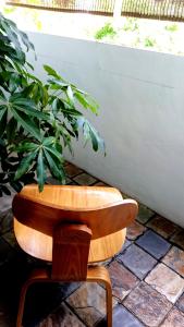 a wooden chair sitting next to a plant at Howcome spots homestay in Hualien City