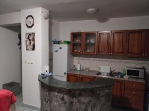 a kitchen with wooden cabinets and a counter top at Dijana Gloria in Zadvorsko