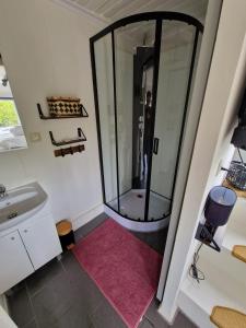 uma casa de banho com uma cabina de duche em vidro com uma pessoa em The Zen Nest em Geel