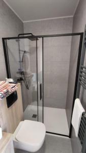 La salle de bains est pourvue d'une douche en verre et de toilettes. dans l'établissement Little Tiny Village Haus 2, à Fußach