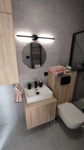 La salle de bains est pourvue d'un lavabo, de toilettes et d'un miroir. dans l'établissement Little Tiny Village Haus 2, à Fußach