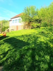 a large grassy yard with a house in the background at Casa La Casiru in Straja