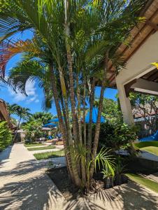 a group of palm trees next to a resort at Indigo Bungalows in Gili Trawangan