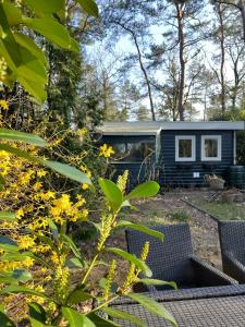 a tiny house in a garden with two chairs at Chalet De Maanvaren in Hattemerbroek