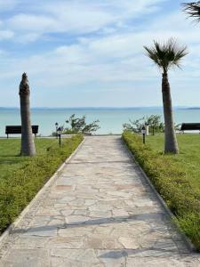 een stenen pad dat naar de oceaan leidt met twee palmbomen bij Pool apartment on the beach in Boergas