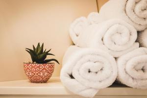 a pile of towels on a shelf with a plant at Thornfield Farm Luxury Glamping Pods, The Dark Hedges, Ballycastle in Stranocum