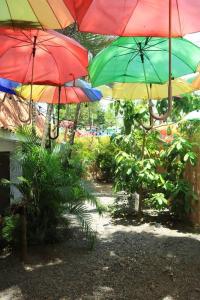 a group of colorful umbrellas hanging over a garden at Cabaña Viento - RiverBeach in Jacó