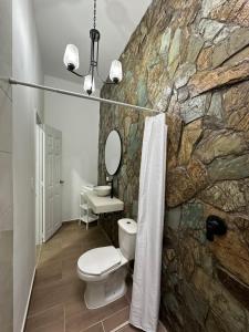 a bathroom with a toilet and a stone wall at Casa colonial filandia in Filandia