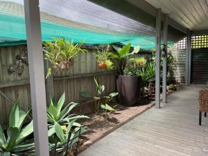 a patio with plants on a wooden fence at D108 Fantastic Sun Crescent Gathering in Sunshine