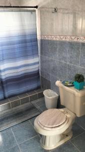 a bathroom with a toilet and a shower at Geranios in Ciudad Juárez