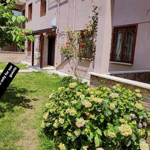 un cespuglio con fiori di fronte a un edificio di VILLA GARDEN sapanca a Sakarya