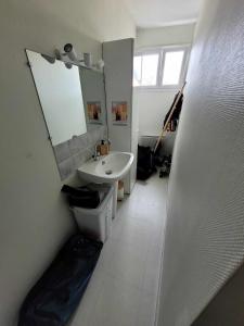 勒芒的住宿－Flexy - T2 - L' Agate Grise - Le Mans，一间带水槽和镜子的浴室