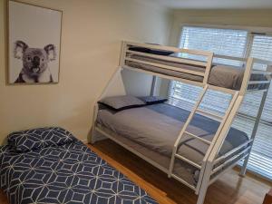 a bunk bed in a room with a bunk bedouble at beach house in Venus Bay