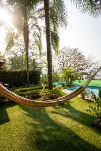un'amaca nel cortile del resort con palme di Hostal Doña Emma a Pahuatlán del Valle