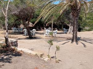 een groep tafels en stoelen in een tuin met een palmboom bij Maison de beau séjour in Tabarka