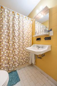 圣卡洛斯-德巴里洛切Departamento Premier的带水槽和浴帘的浴室