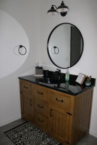 ein Bad mit einem Waschbecken und einem Spiegel in der Unterkunft Country Hills Hideaway in Millersburg