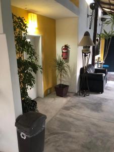 a living room with a couch and potted plants at Hotel Boutique Ixaya in Puerto Vallarta