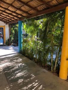 a row of palm trees on the side of a building at Hotel Boutique Ixaya in Puerto Vallarta