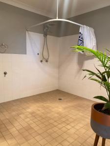 um quarto vazio com um chuveiro e um vaso de plantas em Darcy’s Ranch em Bathurst