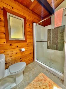 a bathroom with a toilet and a glass shower at Volcano Hideaway Cabin as seen on HGTV in Volcano