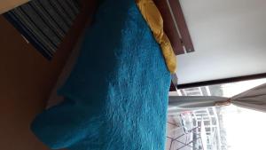 a blue object is hanging from a window at Hostel Agua Santa in Viña del Mar
