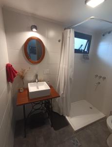 a bathroom with a sink and a shower at El Establo City Bell - solo alojamiento in City Bell
