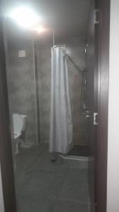 uma casa de banho com um chuveiro e um WC. em Hotel White Mountains • თეთრი მთები em Mestia